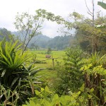 Pays Toraja