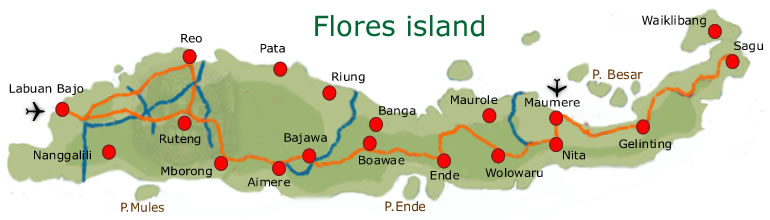map-flores