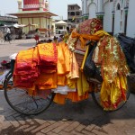 Vélo Hindouiste à Janakpur - Népal