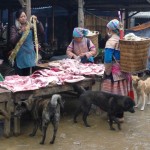 Les chiens en raffolent! Bac Ha - Vietnam