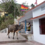 Karanprayag, confluent sacré