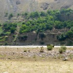 Rives afghanes