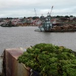 Ucayali, long fleuve tranquille?