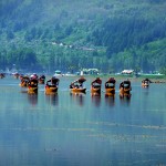 Un lac au Cachemire