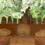 Anuradhapura
