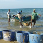 Talai Mannar