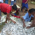 Partie de pêche!