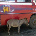 Attente de bus!