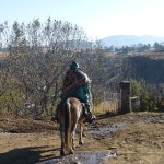 « Blanket » de Basotho sauce cagoule…