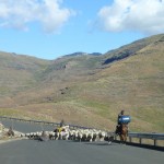 Paysages de rondavels