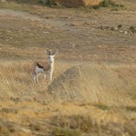 Premières images d’AFS…