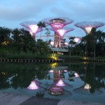 Garden by the Bay