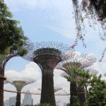 Garden by the Bay