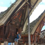 Maisons torajas