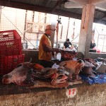 Un marché « tout bête »