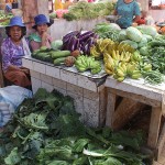 Un marché « tout bête »