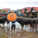 Marché de Rantépao