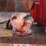 Un marché « tout bête »