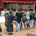 Funérailles Toraja