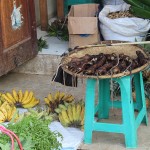 Un marché « tout bête »