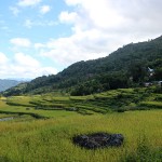 Pays Toraja