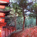 Fushimi-Inari taisha