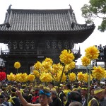 Matsuri d’Himeji