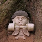 Miyajima