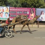Bikaner