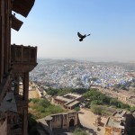 Jodhpur, cité bleue