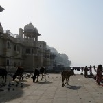 Udaipur