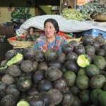 Avocats au marché d'Antigua