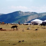 Mongolie 2002
