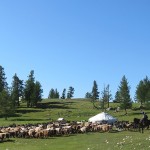 Paysages de l’Altaï