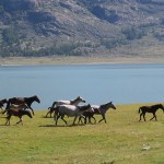 Paysages de l’Altaï