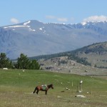 Paysages de l’Altaï