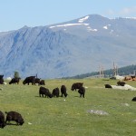 Paysages de l’Altaï