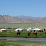 Yourtes … à Khovd-Altaï-