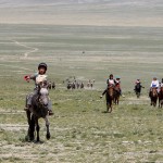 Naadam, courses de chevaux