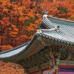 Temple sur fond d'érables.