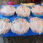 Que de poissons…