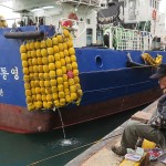 Pêcher à Busan