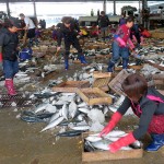 Pêcher à Busan
