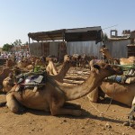 Grand marché d’Aksum