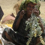 Marché de Bahar Dar
