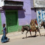 Aux couleurs d’Harar