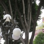Lampadaires poblanos