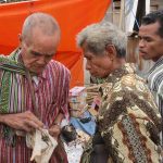 Portraits de marché