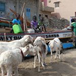 Ports de Dakar