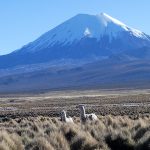 Parc de Sajama